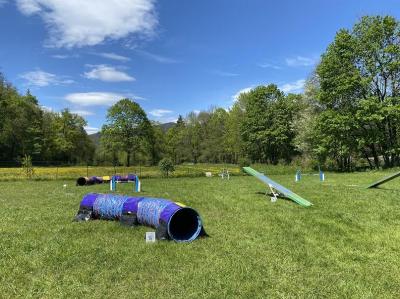 Agility 1